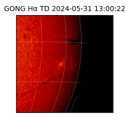 gong - 2024-05-31T13:00:22