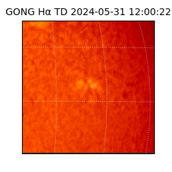 gong - 2024-05-31T12:00:22