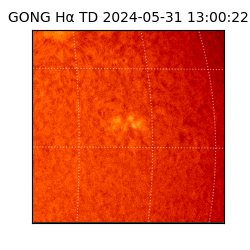 gong - 2024-05-31T13:00:22