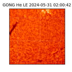 gong - 2024-05-31T02:00:42