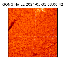gong - 2024-05-31T03:00:42