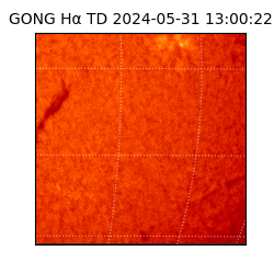 gong - 2024-05-31T13:00:22