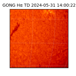 gong - 2024-05-31T14:00:22