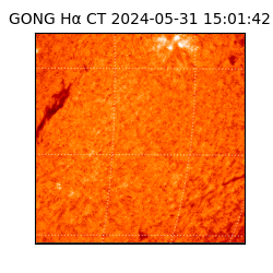 gong - 2024-05-31T15:01:42