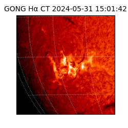 gong - 2024-05-31T15:01:42