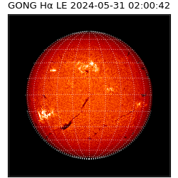 gong - 2024-05-31T02:00:42