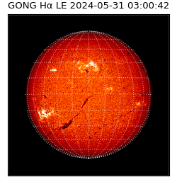 gong - 2024-05-31T03:00:42