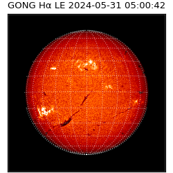 gong - 2024-05-31T05:00:42