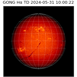 gong - 2024-05-31T10:00:22