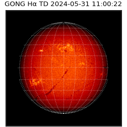gong - 2024-05-31T11:00:22