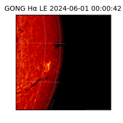 gong - 2024-06-01T00:00:42