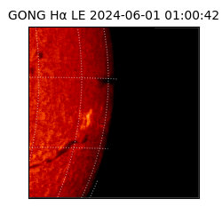 gong - 2024-06-01T01:00:42