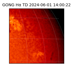 gong - 2024-06-01T14:00:22