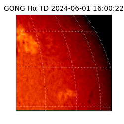 gong - 2024-06-01T16:00:22