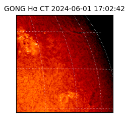 gong - 2024-06-01T17:02:42