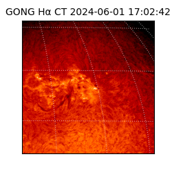 gong - 2024-06-01T17:02:42