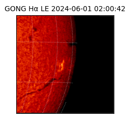 gong - 2024-06-01T02:00:42