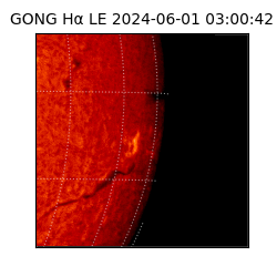 gong - 2024-06-01T03:00:42