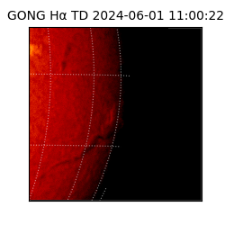 gong - 2024-06-01T11:00:22