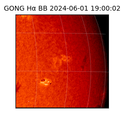 gong - 2024-06-01T19:00:02