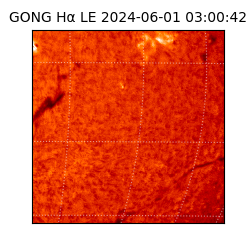 gong - 2024-06-01T03:00:42