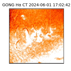 gong - 2024-06-01T17:02:42