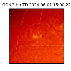 gong - 2024-06-01T15:00:22