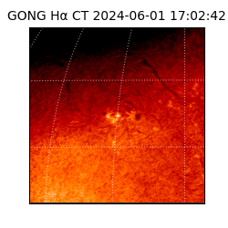 gong - 2024-06-01T17:02:42