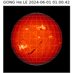 gong - 2024-06-01T01:00:42