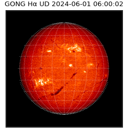 gong - 2024-06-01T06:00:02