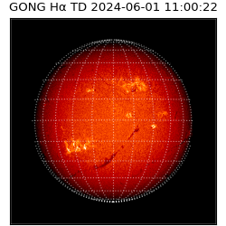 gong - 2024-06-01T11:00:22