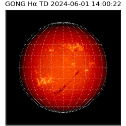 gong - 2024-06-01T14:00:22