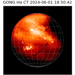 gong - 2024-06-01T18:50:42