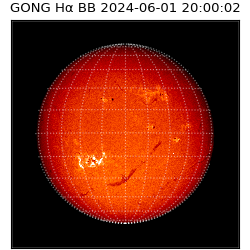 gong - 2024-06-01T20:00:02