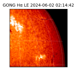 gong - 2024-06-02T02:14:42