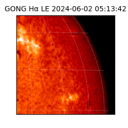 gong - 2024-06-02T05:13:42