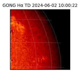 gong - 2024-06-02T10:00:22