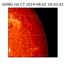 gong - 2024-06-02T16:02:42