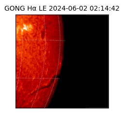 gong - 2024-06-02T02:14:42