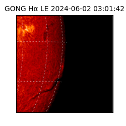 gong - 2024-06-02T03:01:42