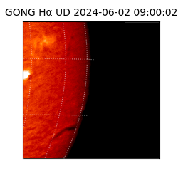 gong - 2024-06-02T09:00:02