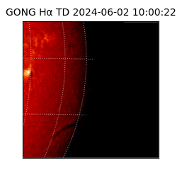 gong - 2024-06-02T10:00:22