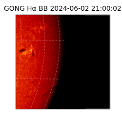 gong - 2024-06-02T21:00:02