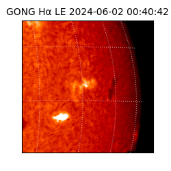 gong - 2024-06-02T00:40:42