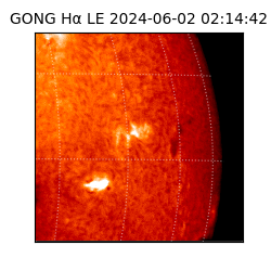 gong - 2024-06-02T02:14:42