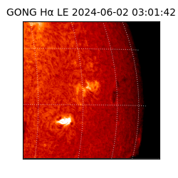 gong - 2024-06-02T03:01:42