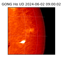 gong - 2024-06-02T09:00:02