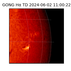 gong - 2024-06-02T11:00:22