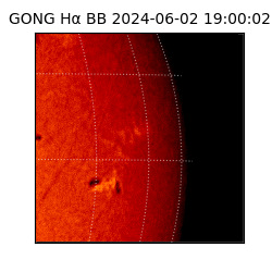 gong - 2024-06-02T19:00:02