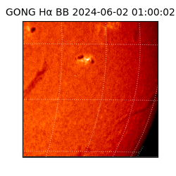 gong - 2024-06-02T01:00:02